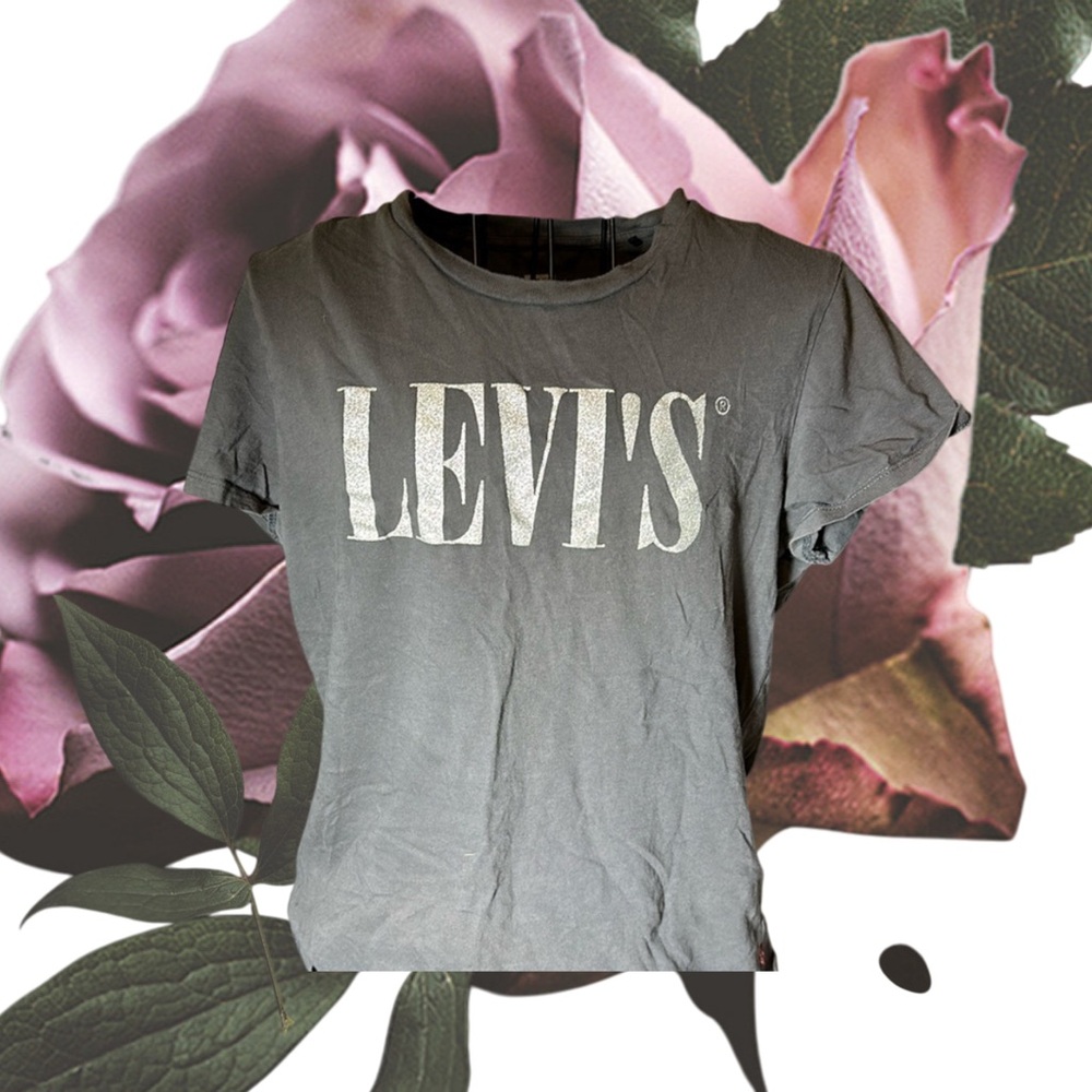 Levi's Gray Short Sleeve Tee